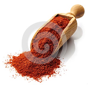 Scoop of paprika powder