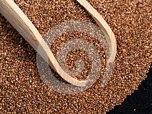 Scoop on pile of wholegrain teff seeds closeup