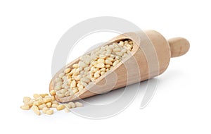 Scoop with pine nuts