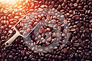 Scoop on roasted coffee beans background with copy space