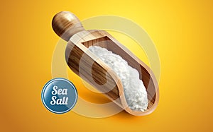 A scoop of sea salt