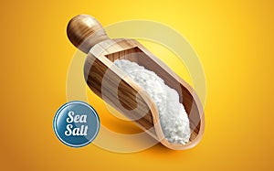 A scoop of sea salt photo