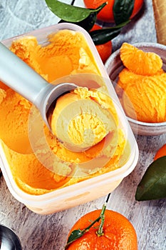 Scoop of tangarine orange ice cream. delicious icecream set