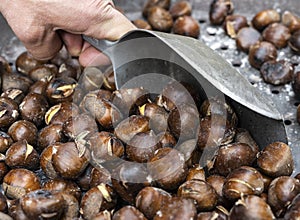 Scooping Roasted Chestnuts