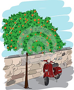 Scooter near an orange tree, vector illustration