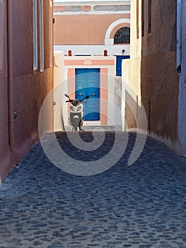 Scooter Parked in Alley With Stone Surface