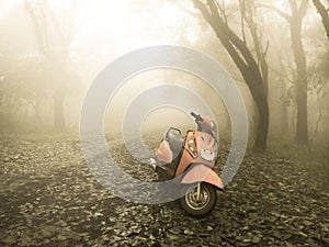 A scooter standing in nature in sepia