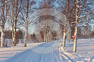 A scooter trail along the RÃ¥ne river.