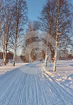 A scooter trail along the RÃ¥ne river.