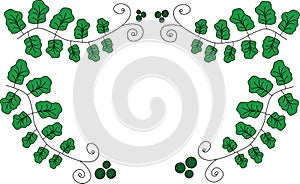 Scope from green leaves with krausens