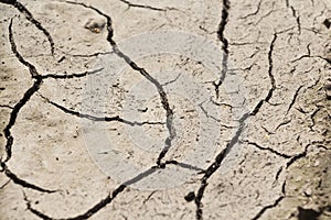 On the scorched earth a lot of cracks from the intense heat