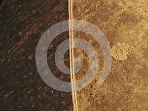 Scorched earth top view. Photo from a drone