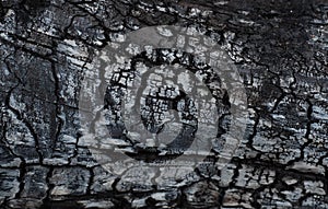 Scorched wood texture. Charcoal background, copy space. Crackle texture or pattern