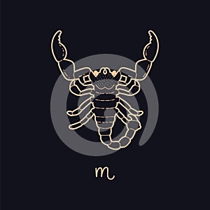 Scorpio zodiac sign and symbol golden contour on dark background, Horoscope Astrological zodiac vector scorpion icon