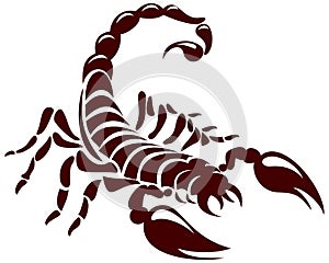Scorpion