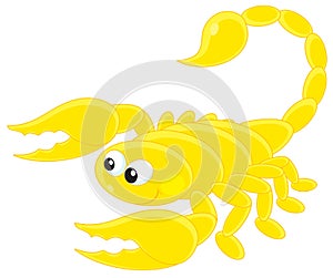 Scorpion