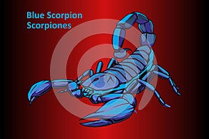 Scorpion on abstract Red Background