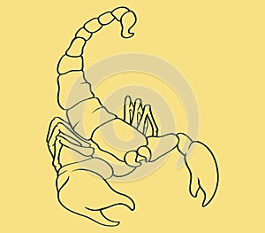 Scorpion Line Art