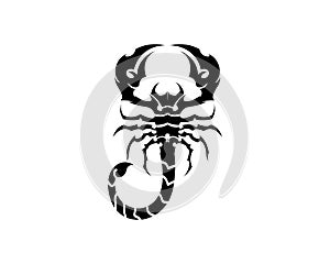 Scorpion Logo Template Vetor illustration