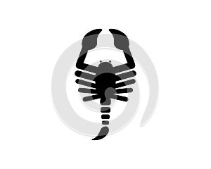 Scorpion Logo Template Vetor illustration