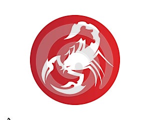 Scorpion Logo Template Vetor illustration