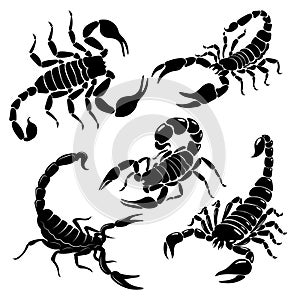 Scorpion set. A collection of black and white stylized scorpions. Vector illustration of poisonous insects. Tattoo.