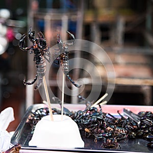 Scorpion on a stick - Asian delicacy