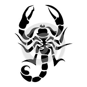 Škorpión tetovanie 