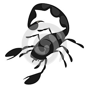 Scorpion, vector or color illustration