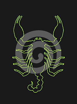 Scorpion vector line contour illustration isolated on black background.