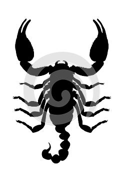 Scorpion vector silhouette illustration isolated on white background.