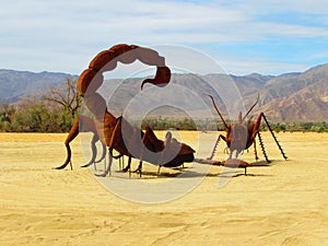 Scorpion vs Ant at Galleta Meadows in Borrego Springs California photo