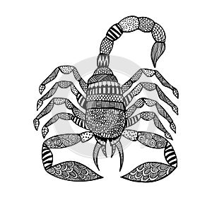 Scorpion in zentangle style on white background