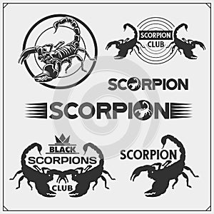 Scorpions emblems, labels, logos and design elements. Silhouettes of a scorpion. Print design for t-shirt. Tattoo design.