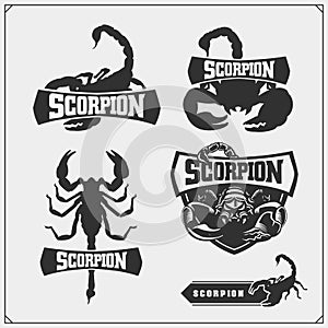 Scorpions emblems, labels, logos and design elements. Silhouettes of a scorpion. Print design for t-shirt. Tattoo design.