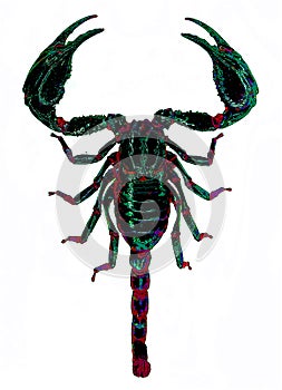 Scorpions are predatory arachnids of the order Scorpiones. photo