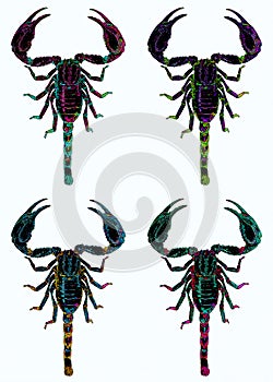 Scorpions are predatory arachnids of the order Scorpiones. photo