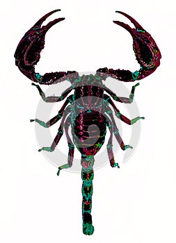 Scorpions are predatory arachnids of the order Scorpiones. photo