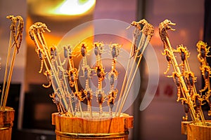 Scorpions and Seahorses on a stick - typical chinese food