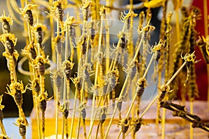 Scorpions on skewers cooked for food