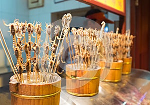 Scorpions on stick - exotic food