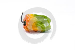 Scotch Bonnet Pepper