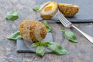 Scotch egg