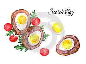 Scotch Egg illustration watercolor