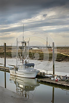 Scotch Pond Low Tide, Steveston