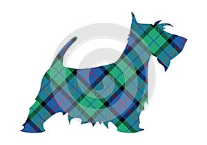 Scotch terrier tartan national pattern flower of scotland