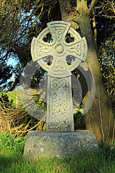 Scotland, Celtic Cross under Old Yew Tree, Dumfries and Galloway, Great Britain