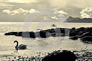 Scotland Landscapes Isle of Arran