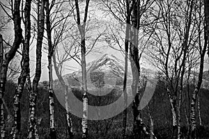 Scotland Landscapes Isle of Arran snow winter mountains photo