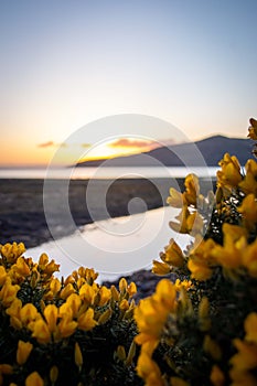Scotland Landscapes Isle of Arran sunset beaches
